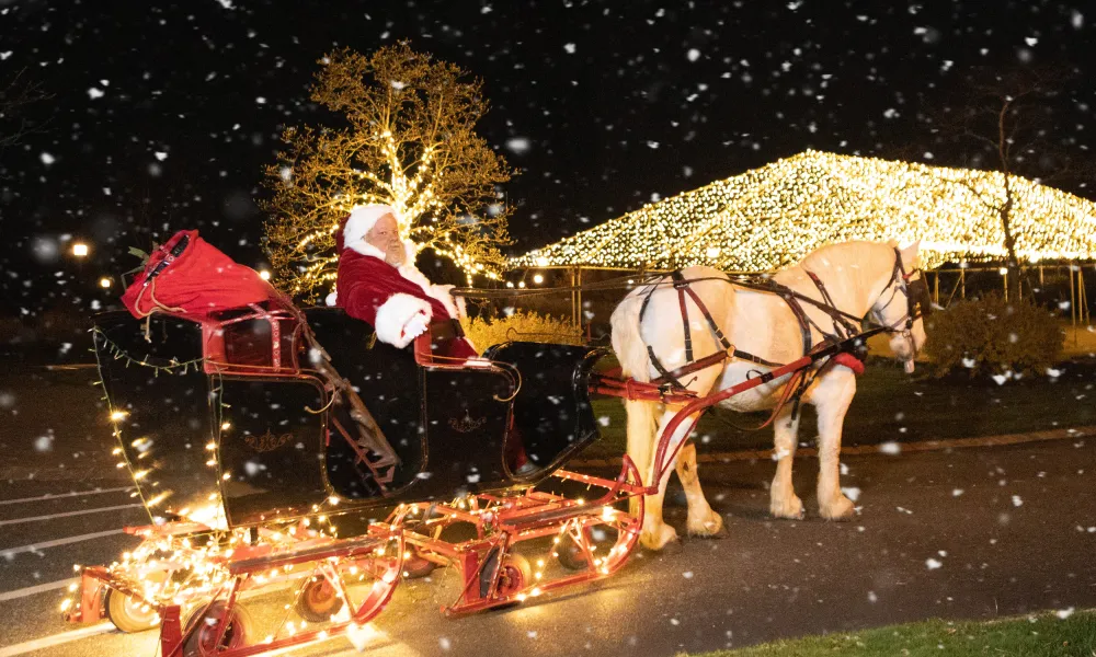 Santa in lite up sleigh being pulled by white horse