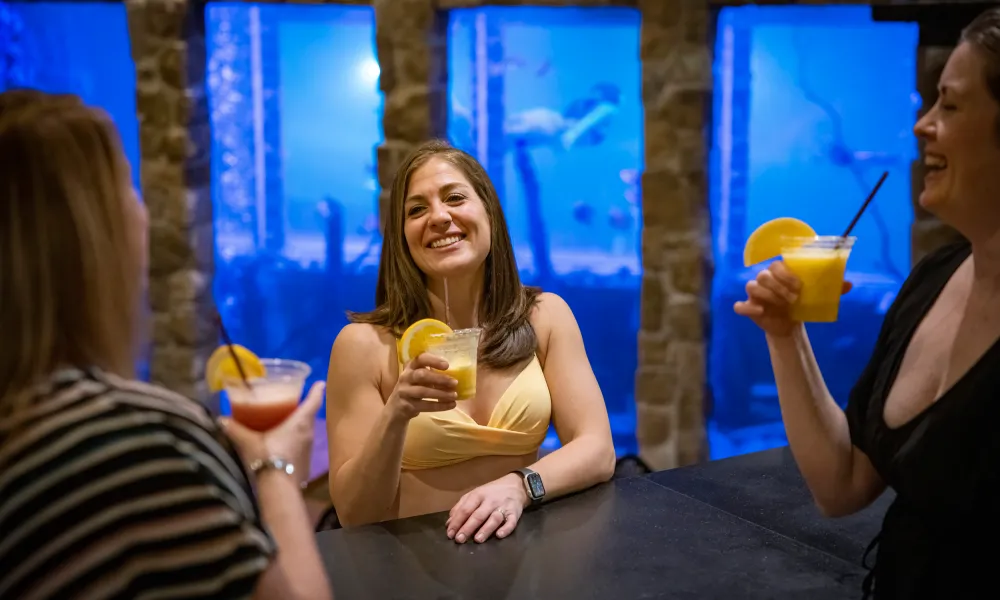 Three women enjoying drinks at The Pool Bar