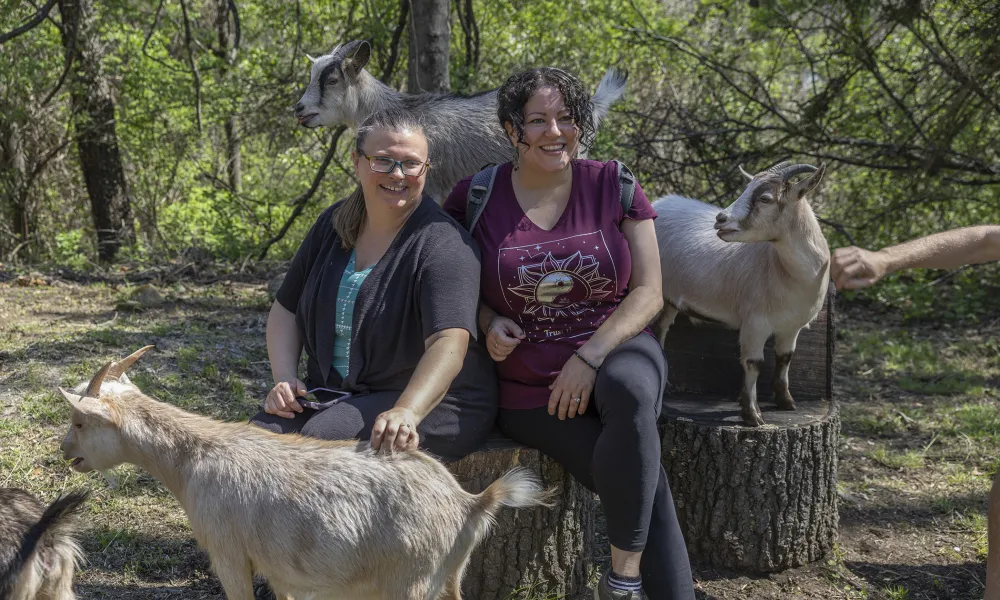 Girlfriends hiking with goats at Crystal Springs Resort