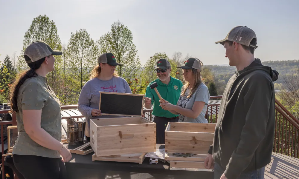 Group of people learning how to build a bee hive box.