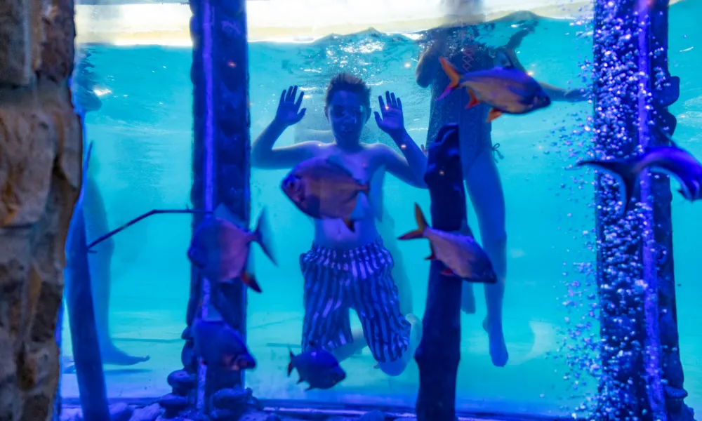 Children swimming next to aquarium with fish inside.