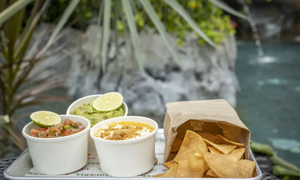 Chips, guac, salsa and cheese.