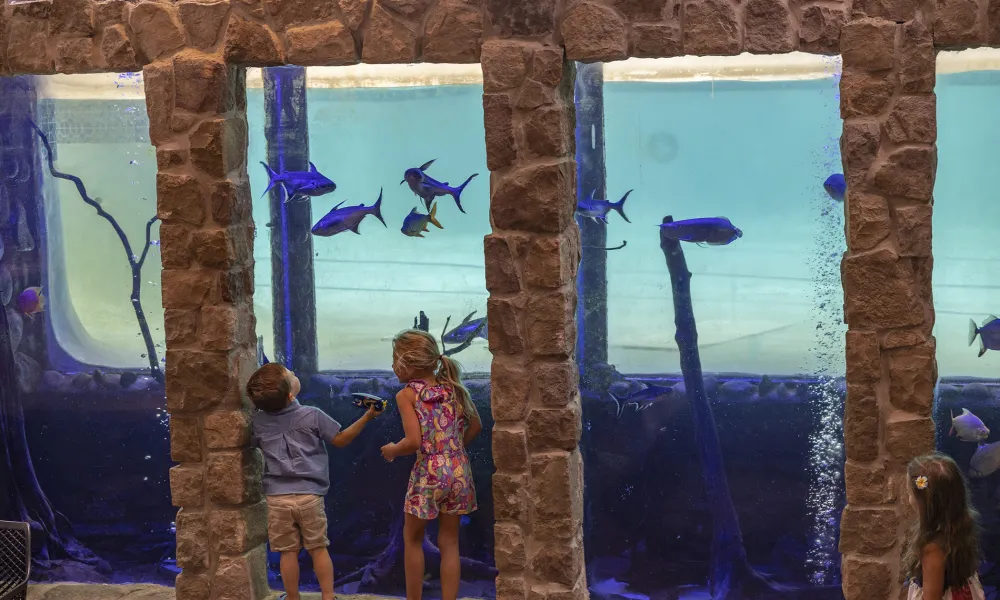 Children standin next to Minerals Hotel aquarium.