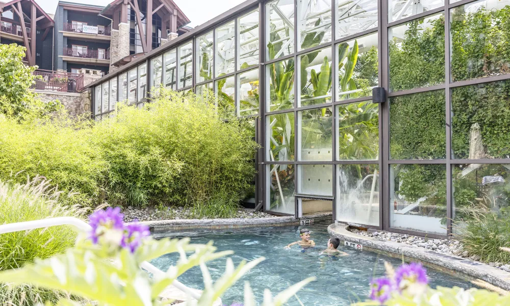 Two boys swimming in Biosphere in/out pool.