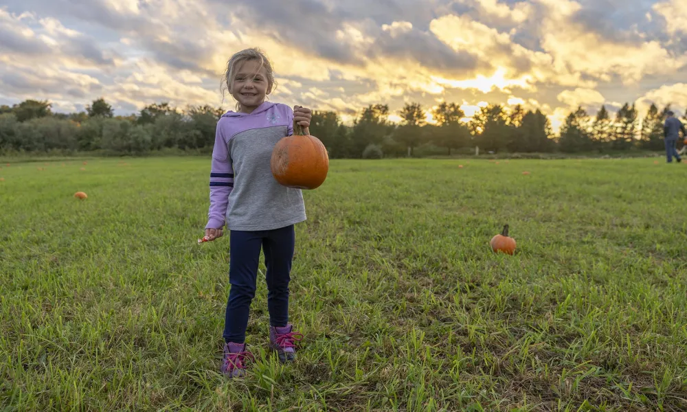 Young girl holding a pumpkin in an open field while the sun sets.