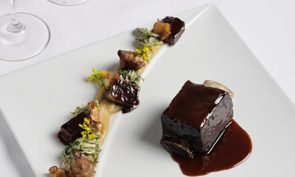 Bison Shortrib