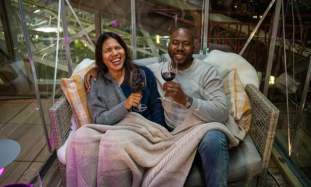 Couple with a blanket over their laps drinking red wine.