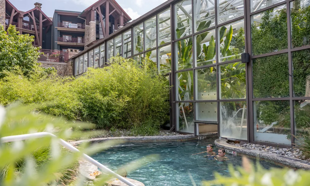 Biosphere Indoor/outdoor pool at Grand Cascades Lodge.