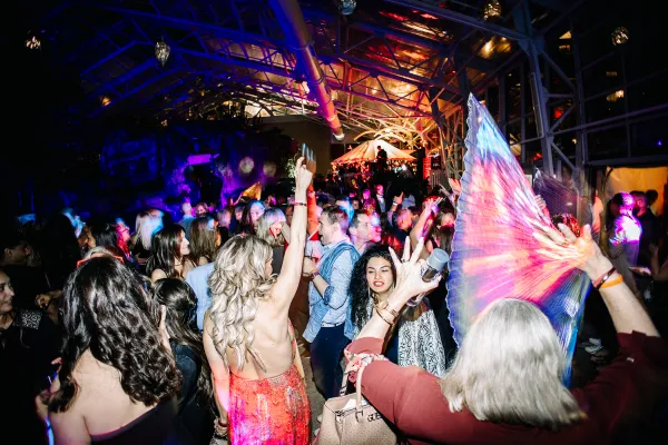 New Year's Eve afterparty in the Biosphere Pool Complex 