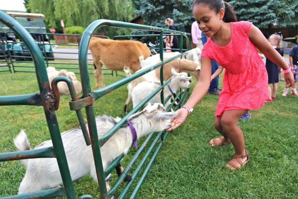 Girl in red dress feeding a goat and looking at other farm animals through a fence.