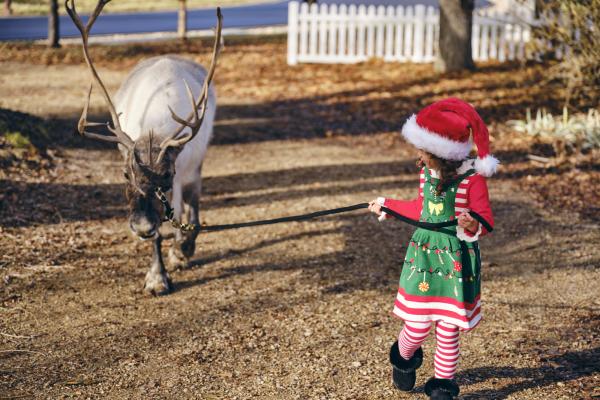 Young girl walking with a reindeer