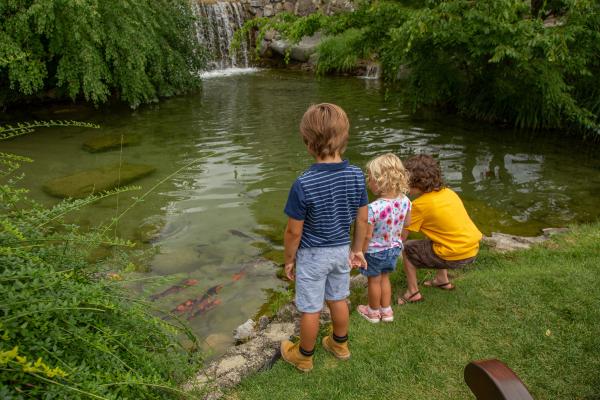 Three children standing at the koi pond. 