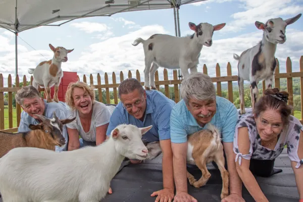 Group Goat Yoga