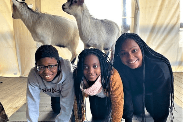 Group of people doing yoga with goats.