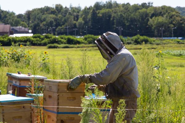 Bee Hive Box build teambuilding activity at Crystal Springs Resort