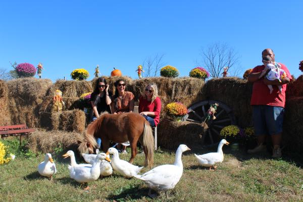 Animal Experience teambuilding activity at Crystal Springs Resort