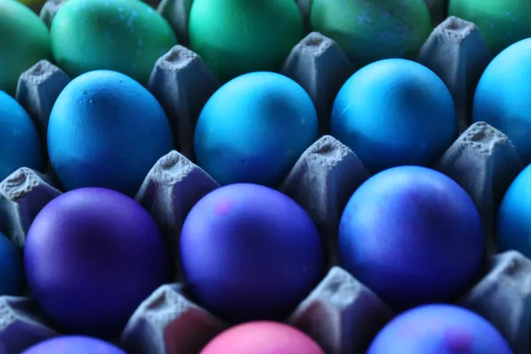 Colorful dyed eggs.