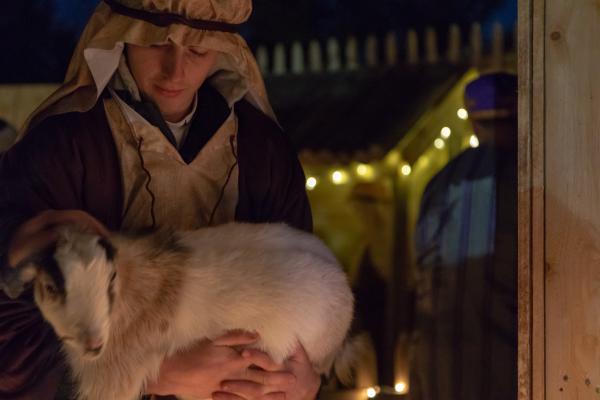 Live nativity scene of boy holding baby goat.