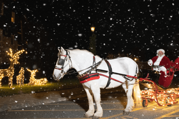 White horse pulling Santa in sleigh during snow shower