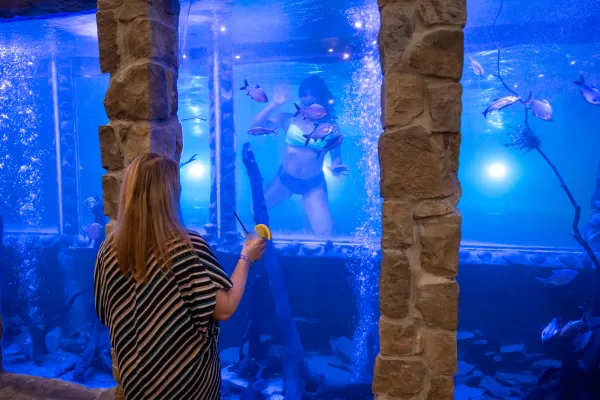 Child waving through underwater window that looks into Minerals Pool Bar