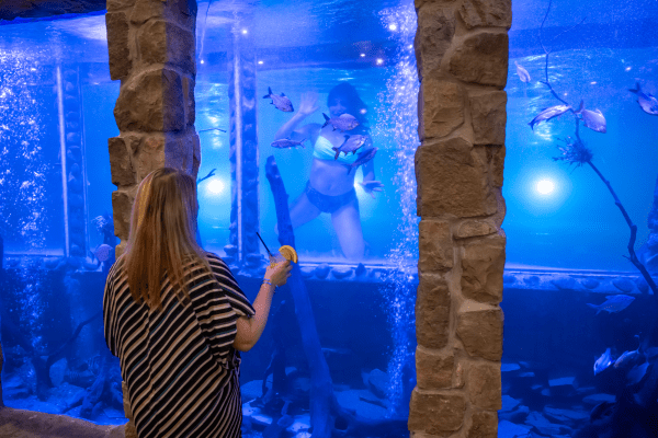 Child waving through underwater window that looks into Minerals Pool Bar