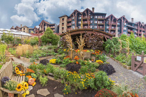 Chef's Garden in the fall.