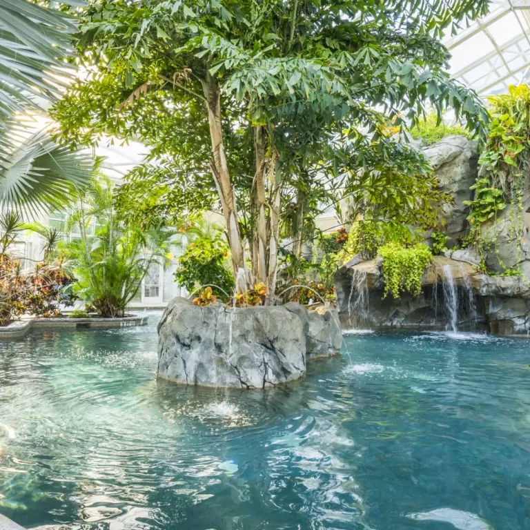 Indoor Biosphere Pool