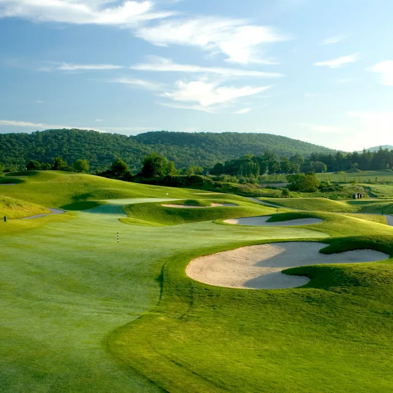 Traps at Wild Turkey Golf Club