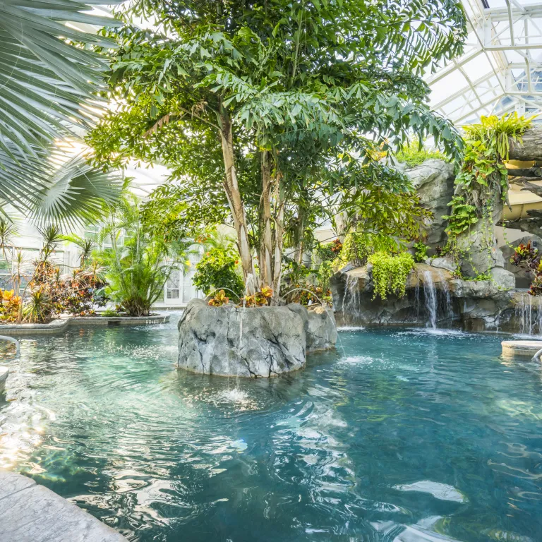 Indoor Biosphere Pool