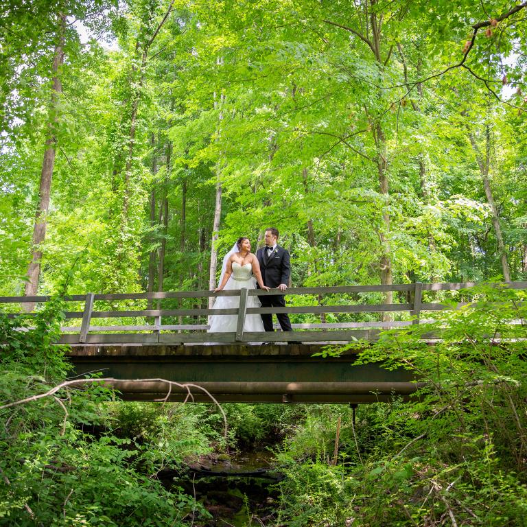 Bride and Groom on bridge amongst the trees.