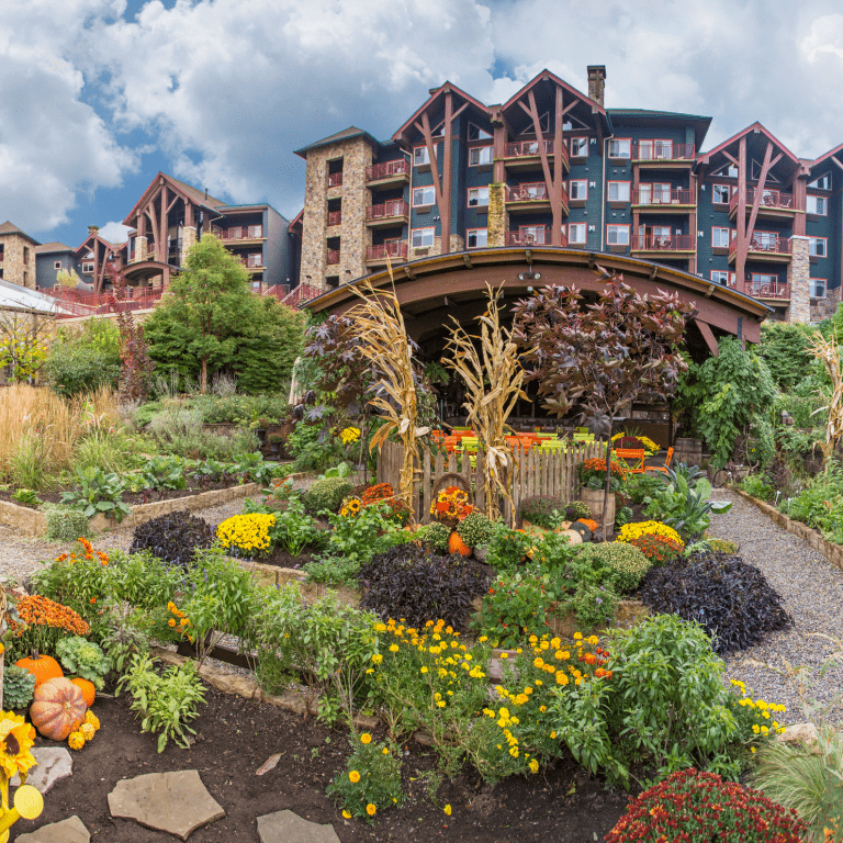 Chef's Garden in the fall.