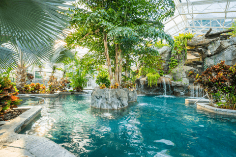 Biosphere pool complex