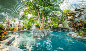 Biosphere pool complex