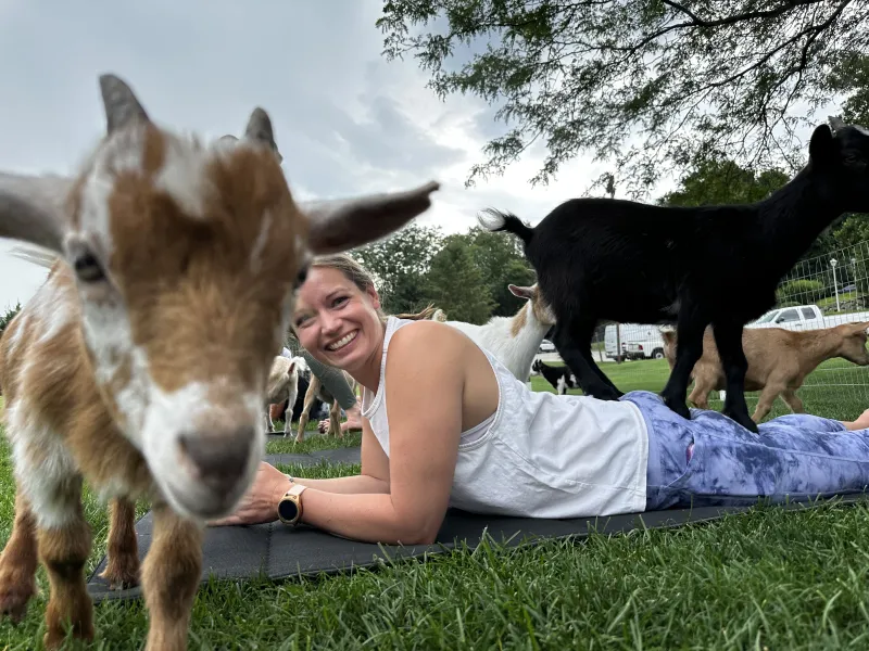 Woman participating in goat yoga. 