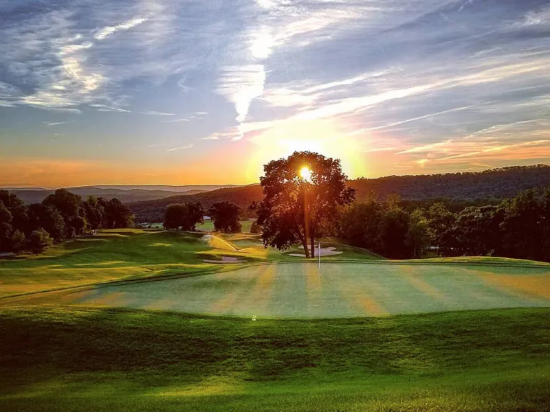 A sunset through a tree at the Black Bear golf course at Crystal Springs Resort