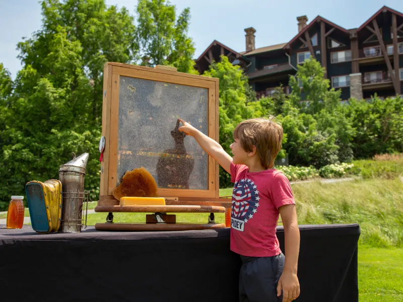 Young child pointing at beehive.