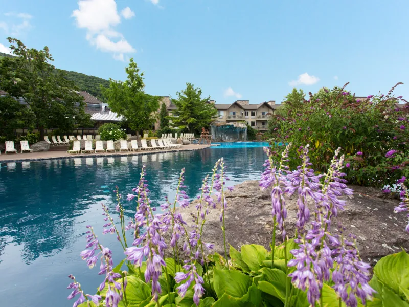 Serene views at minerals pool