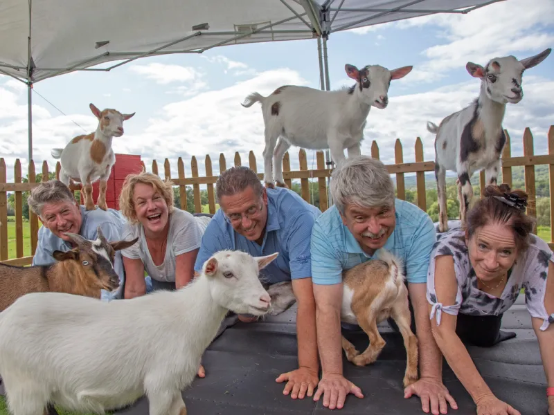 Group Goat Yoga