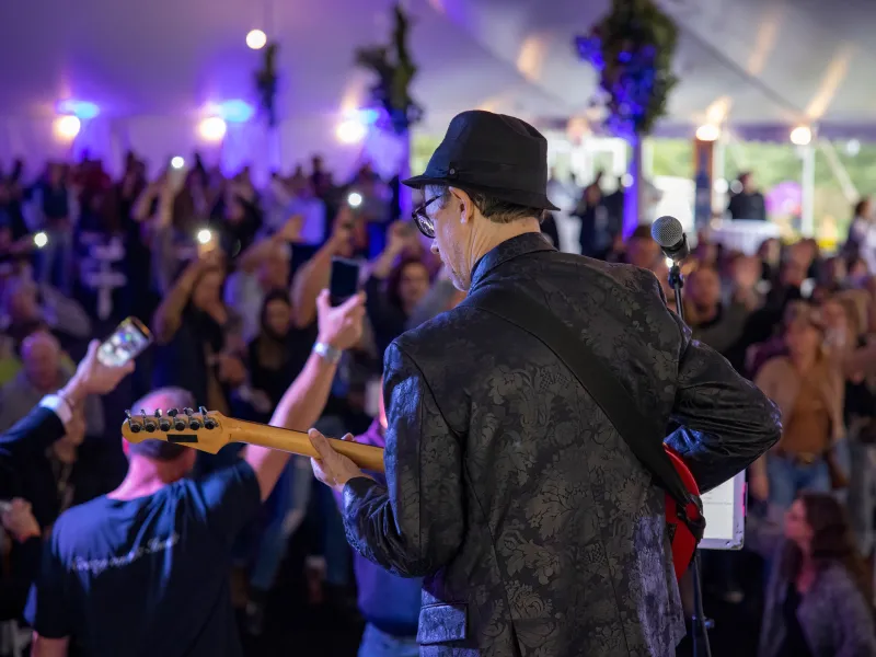 Guitarist with crowd.