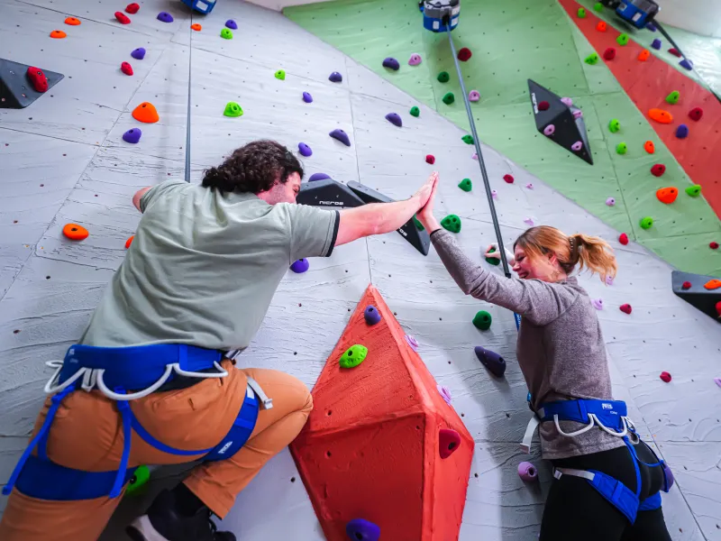 Adults high fiving on rock climbing wall.