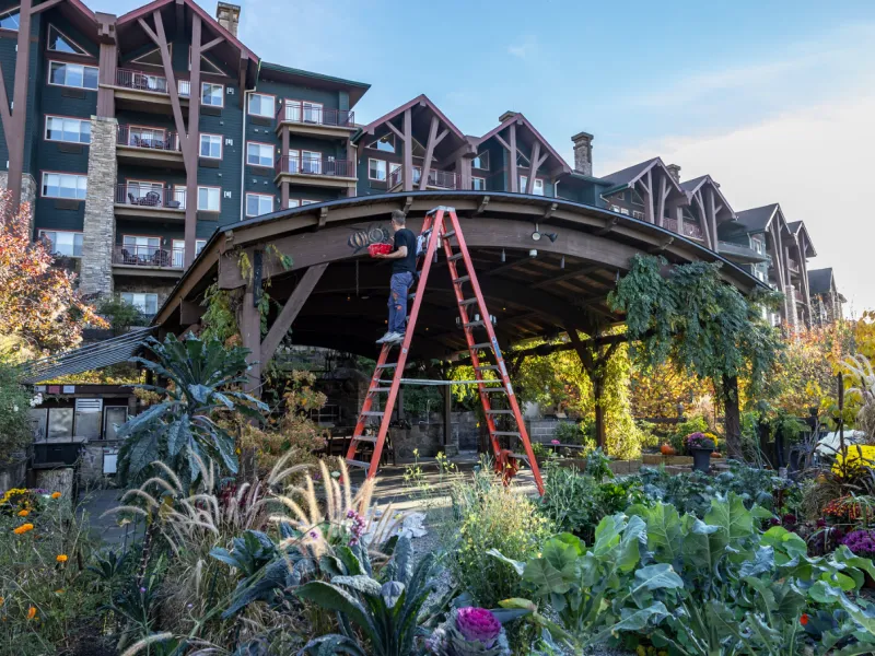 Man standing on ladder in Chef's Garden.